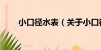 小口徑水表(關于小口徑水表簡介)