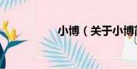 小博(關于小博簡介)