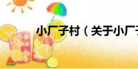 小廠子村(關于小廠子村簡介)