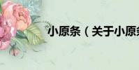 小原條(關于小原條簡介)