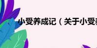 小受養成記(關于小受養成記簡介)