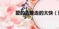 愛的太晚走的太快(愛的太晚)