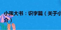 小孩大書:識字篇(關于小孩大書:識字篇簡介)