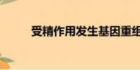 受精作用發生基因重組嗎(組嗎)