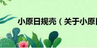 小原日規殼(關于小原日規殼簡介)