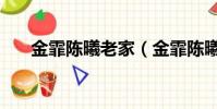 金霏陳曦老家(金霏陳曦是哪個社的)