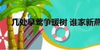 幾處早鶯爭暖樹 誰家新燕啄春泥的意思