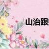 山治跟娜美（山治喜歡娜美嗎）