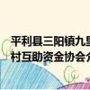 平利縣三陽鎮九里村互助資金協會（關于平利縣三陽鎮九里村互助資金協會介紹）