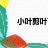 小葉剪葉苔（關于小葉剪葉苔簡介）