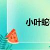 小葉蛇莓（關于小葉蛇莓簡介）