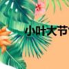 小葉大節竹（關于小葉大節竹簡介）