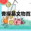 曹操墓文物首次亮相（曹操墓文物全面亮相）