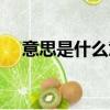 意思是什么意思解釋（意思是什么意思）
