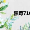 黑莓7100t企業鎖（黑莓7100t）