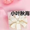 小葉秋海棠（關于小葉秋海棠簡介）