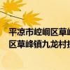 平涼市崆峒區草峰鎮九龍村扶貧互助協會（關于平涼市崆峒區草峰鎮九龍村扶貧互助協會介紹）