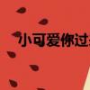 小可愛你過來（關于小可愛你過來簡介）