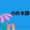 小葉木犀欖（關于小葉木犀欖簡介）