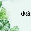 小寂寞（關于小寂寞簡介）