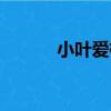 小葉愛楠（關于小葉愛楠簡介）