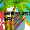 小葉栒子大果變種米林群體（關于小葉栒子大果變種米林群體簡介）