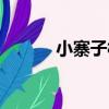 小寨子村（關于小寨子村簡介）