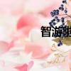 智游啦 汪博垃圾人（智游啦）