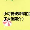 小可愛被哥哥們團寵成了大佬（關于小可愛被哥哥們團寵成了大佬簡介）