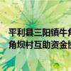 平利縣三陽鎮牛角壩村互助資金協會（關于平利縣三陽鎮牛角壩村互助資金協會介紹）
