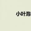 小葉泡桐（關于小葉泡桐簡介）