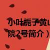 小葉梔子黃山學院2號（關于小葉梔子黃山學院2號簡介）