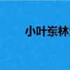小葉崠林海（關于小葉崠林海簡介）