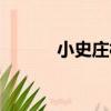 小史莊村（關于小史莊村簡介）