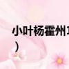 小葉楊霍州10號（關于小葉楊霍州10號簡介）