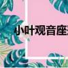 小葉觀音座蓮（關于小葉觀音座蓮簡介）