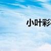 小葉彩花（關于小葉彩花簡介）