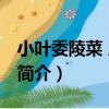 小葉委陵菜 原變種（關于小葉委陵菜 原變種簡介）