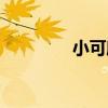 小可欣（關于小可欣簡介）