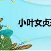小葉女貞球（關于小葉女貞球簡介）