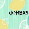 小葉楊XS-1（關于小葉楊XS-1簡介）
