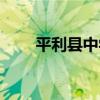 平利縣中學（關于平利縣中學介紹）