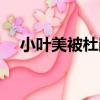 小葉美被杜鵑（關于小葉美被杜鵑簡介）