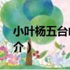 小葉楊五臺山1號（關于小葉楊五臺山1號簡介）