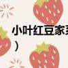 小葉紅豆家系07（關于小葉紅豆家系07簡介）