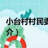小臺村村民委員會（關于小臺村村民委員會簡介）