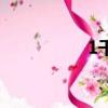 1千克是多少斤（丨1）