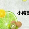 小詩集名字怎么取（小詩集）