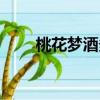 桃花夢酒多少錢一瓶（桃花幻夢酒）