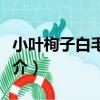 小葉栒子白毛變種（關于小葉栒子白毛變種簡介）